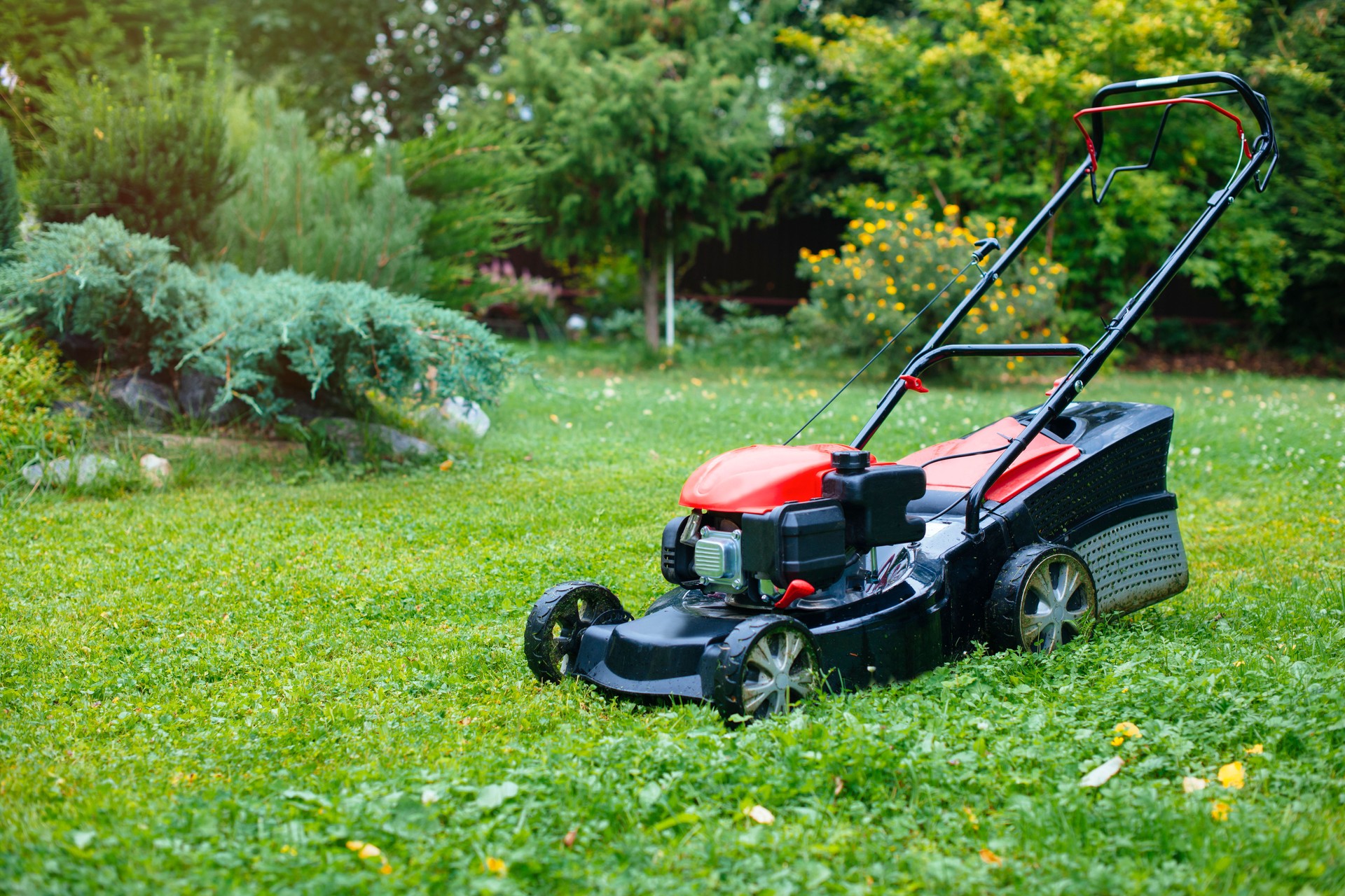 Lawn mower on green grass in back yard